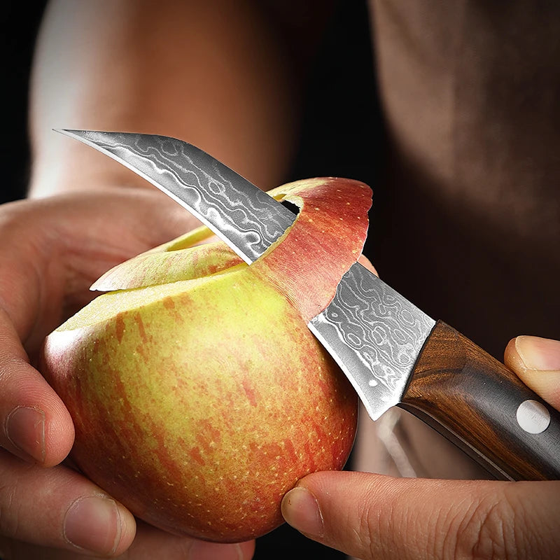 S88c516b0ee234b068fcc1d7d5821a5c0j