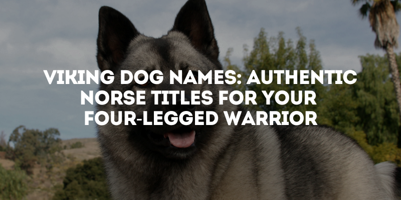 Viking Dog Names: Authentic Norse Titles for Your Four-Legged Warrior