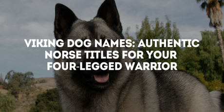 Viking Dog Names: Authentic Norse Titles for Your Four-Legged Warrior