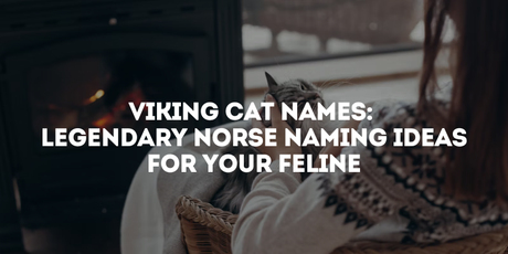 Viking Cat Names: Legendary Norse Naming Ideas for Your Feline