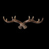 Antlers Wall Hooks