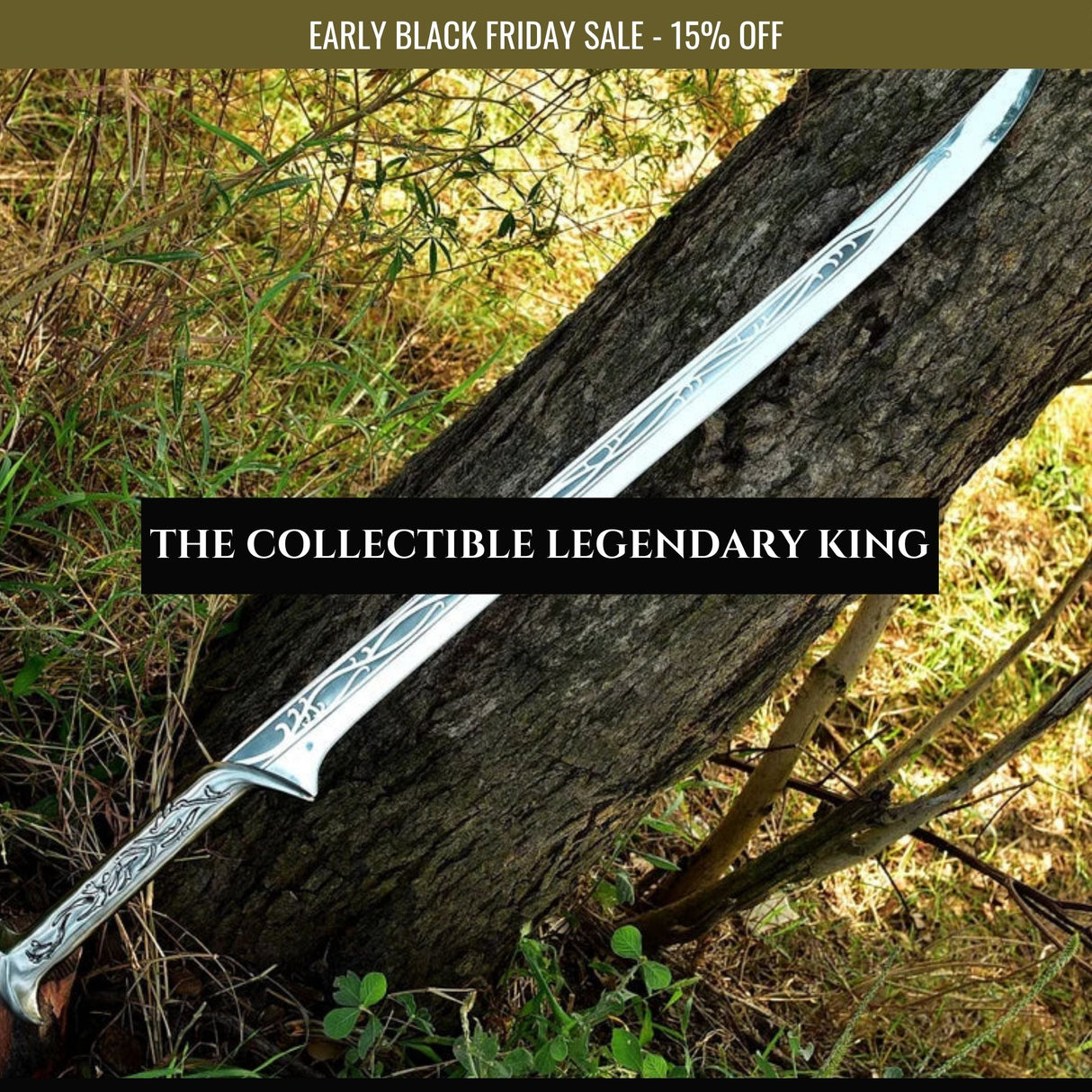 The Legendary King Sword