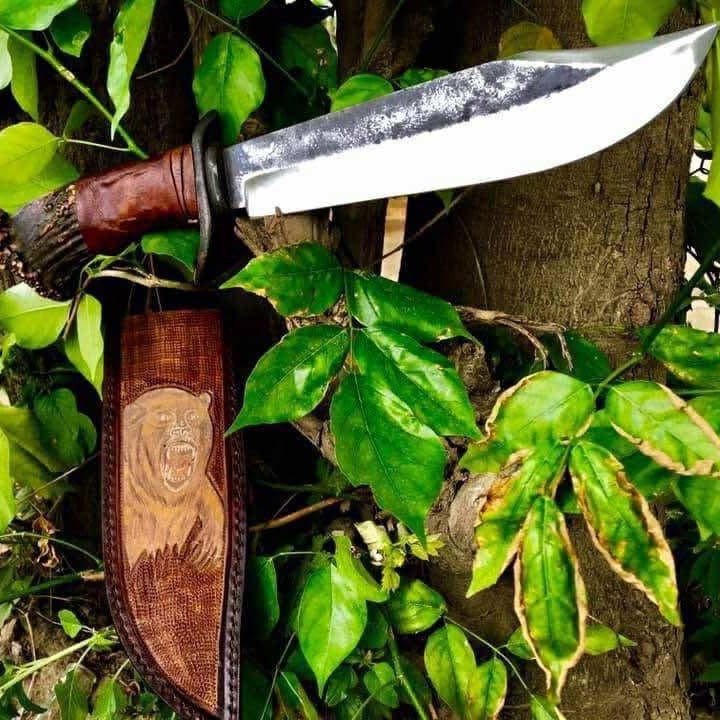 Decorative knife with wooden sheath on a tree trunk surrounded by green leaves