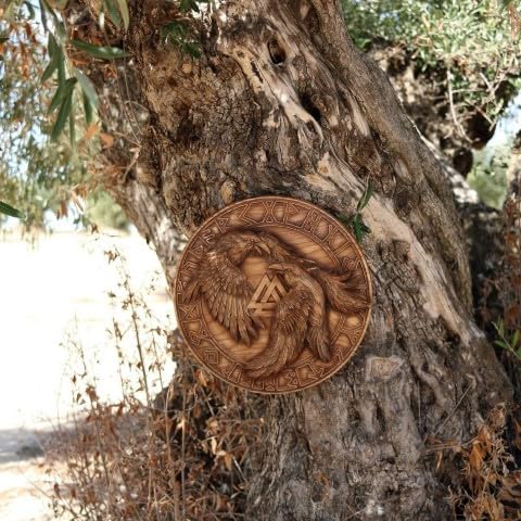 Pair of Raven Wooden Shield