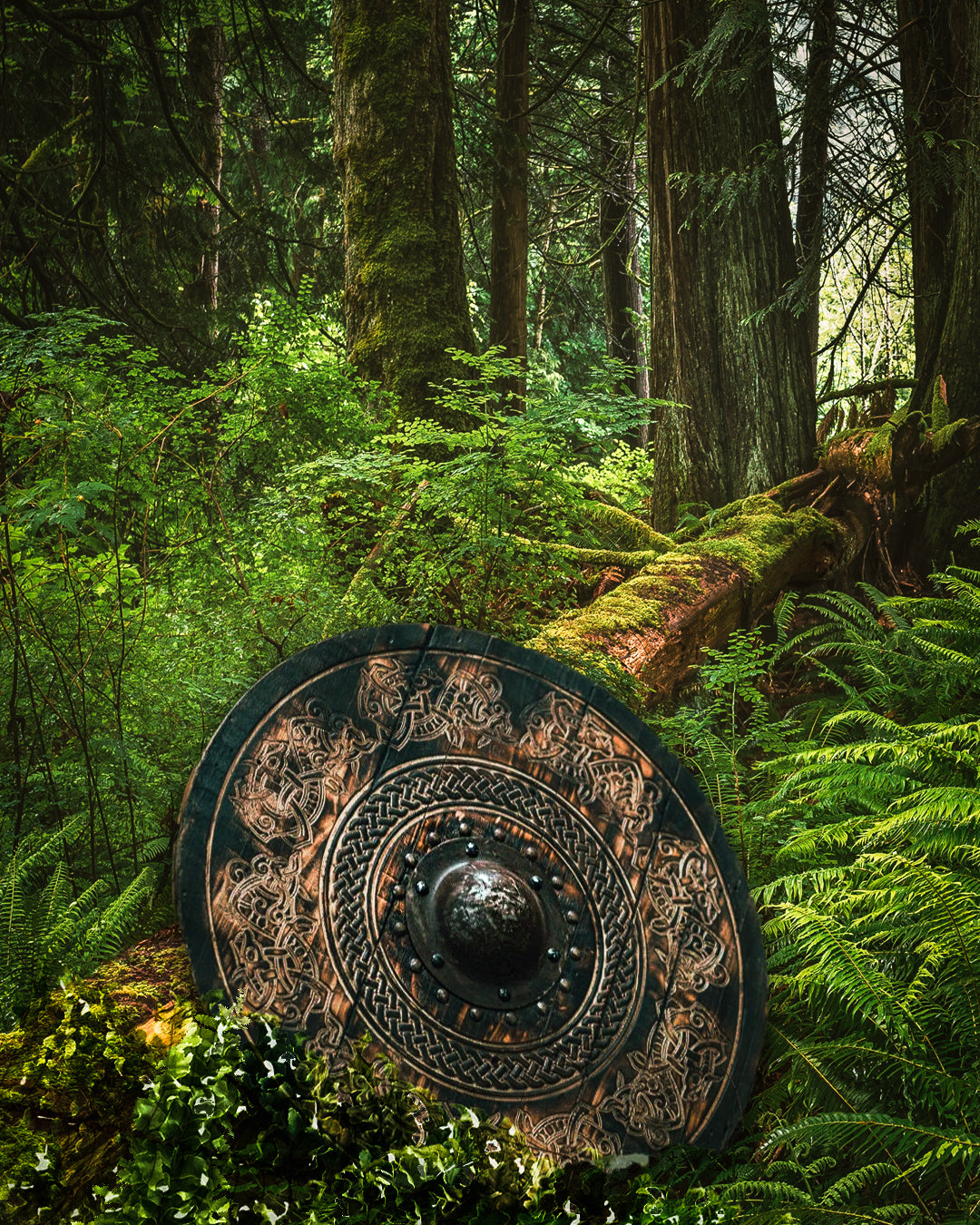 Norse Drake Carved Shield