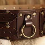 Viking Warrior Corset Belt